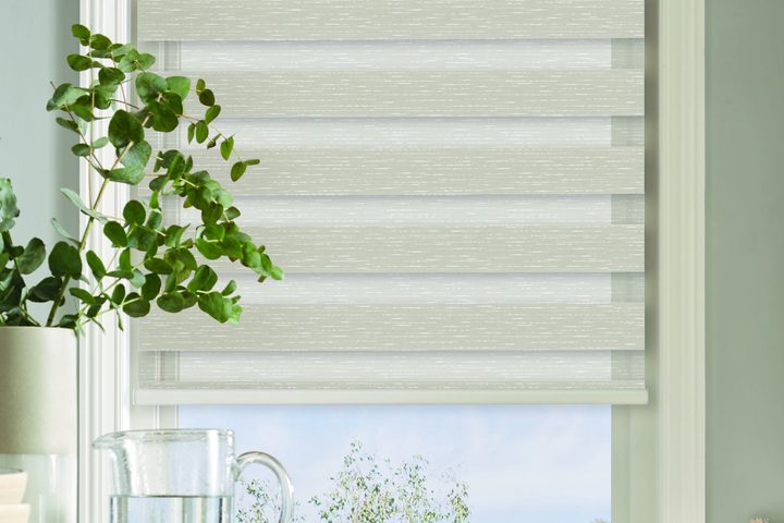 Carsan Vision and Dual Sheers