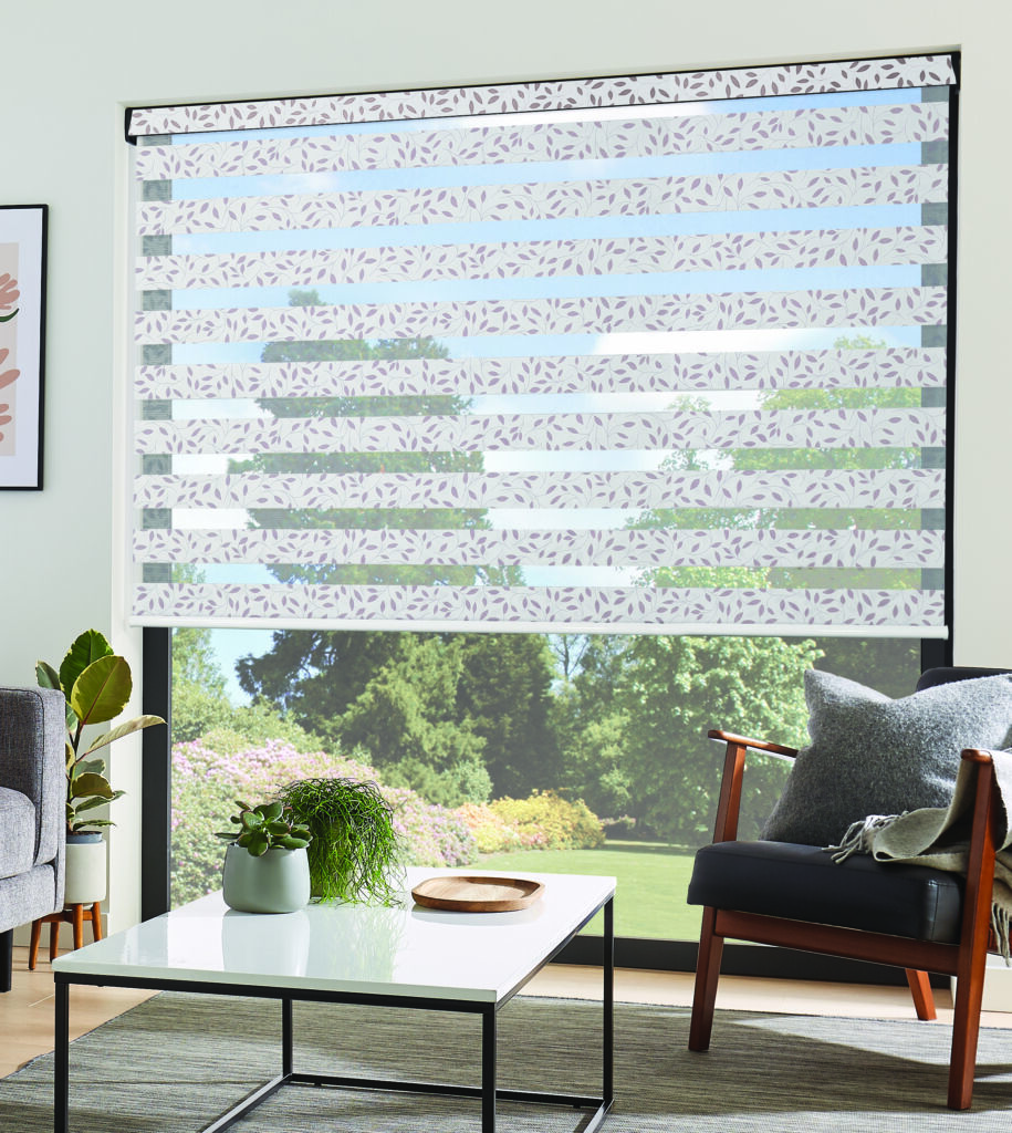 Vision Classica Dove