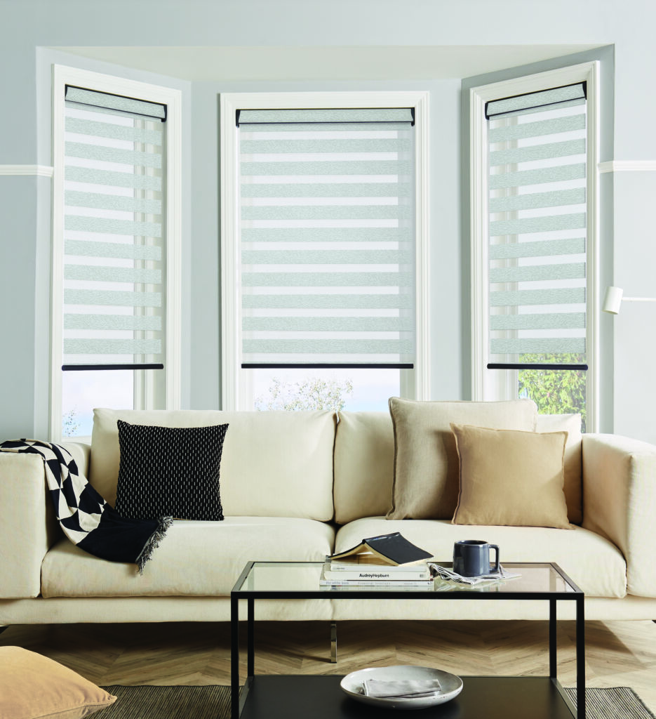 Vision Ecco Stone